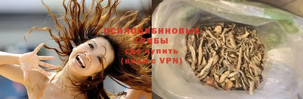 спиды Бронницы