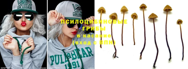 дурь Верхний Тагил