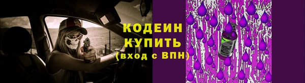 мет Бородино