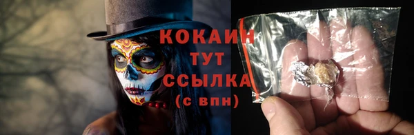 мет Бородино