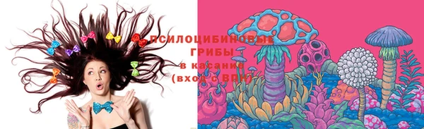 мет Бородино
